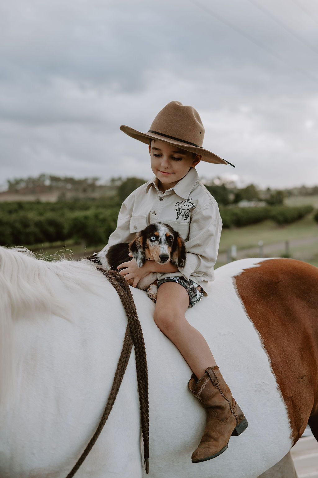 Wild West shorts