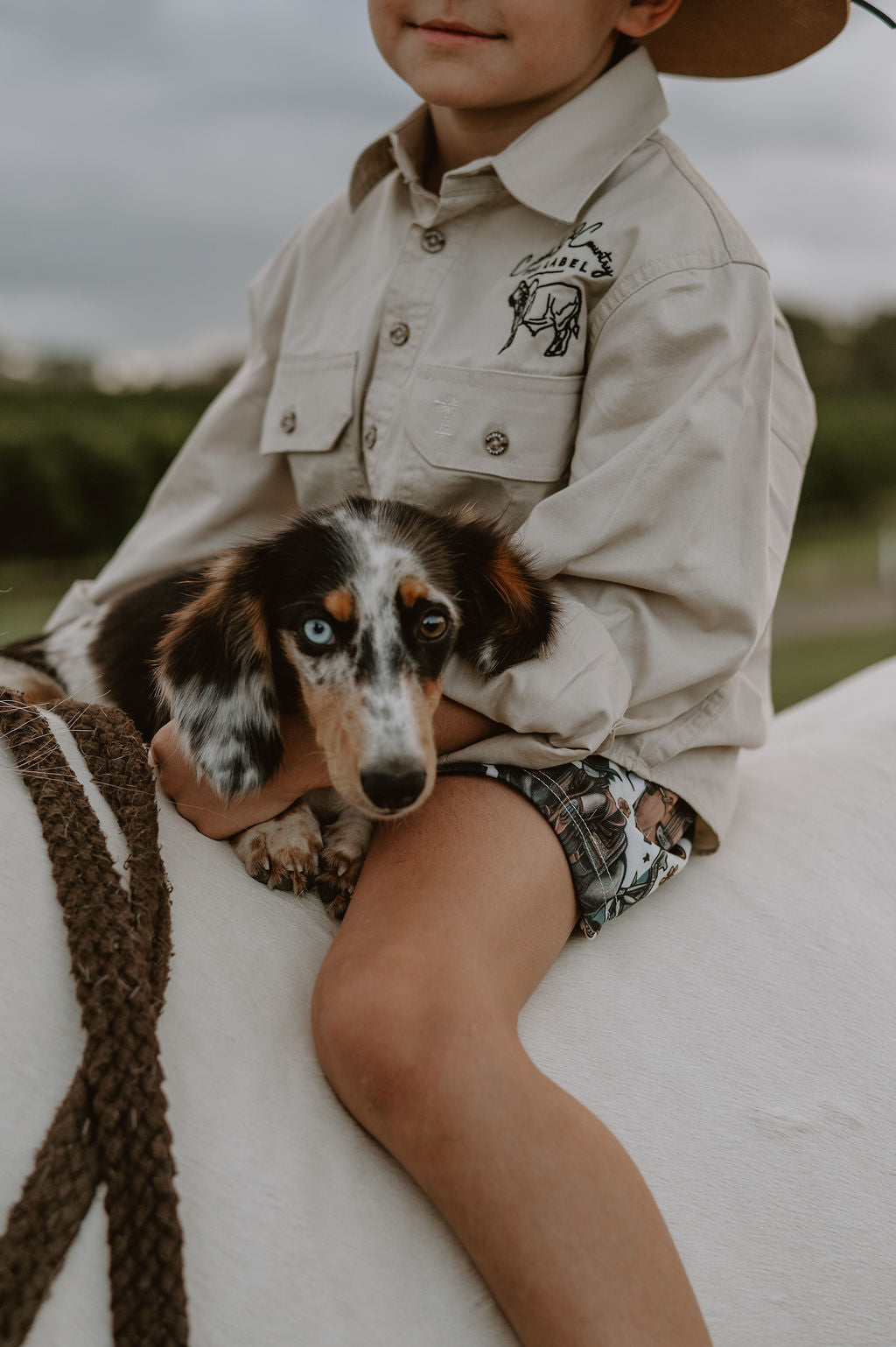 Wild West shorts