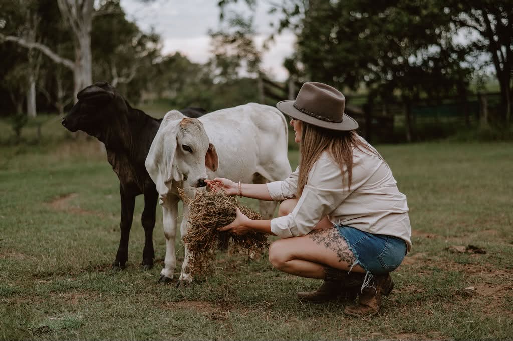 Brahman calf salt & pepper shorts